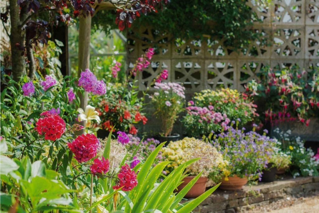 starting a backyard garden